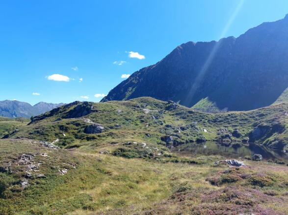 Torkopf Alpbach, Inneralpbach, Luegergraben