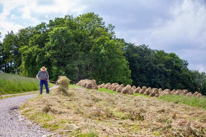 Hieven Truchtlaching