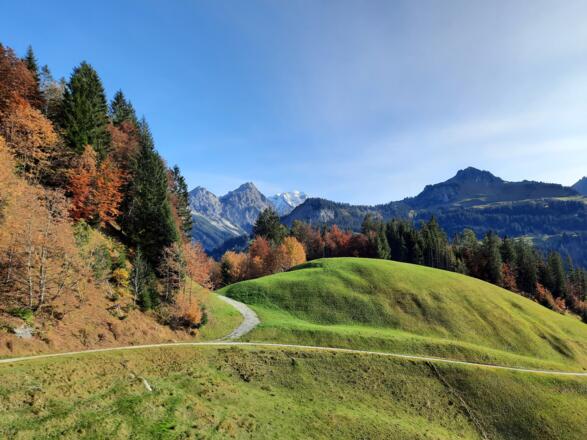 Ausblick während des Abstiegs Richtung Seewaldsee