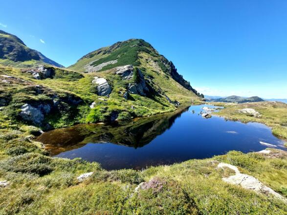 Gruber Lacke beim Torkopf in Alpbach, Inneralpbach, Luegergraben
