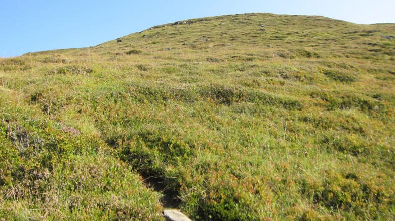 über die weiten steilen Hänge des Haggener Sonnbergs