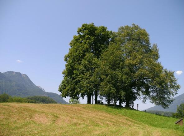 Am Sterzens Abendsitz , Gerhard König