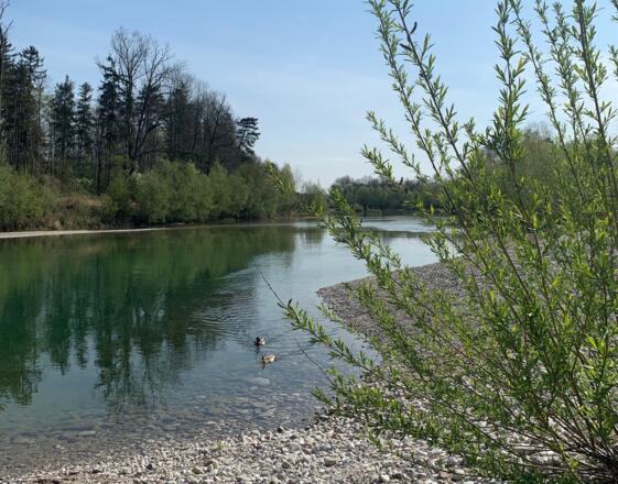 Spazieren in der Unterhimmler Au