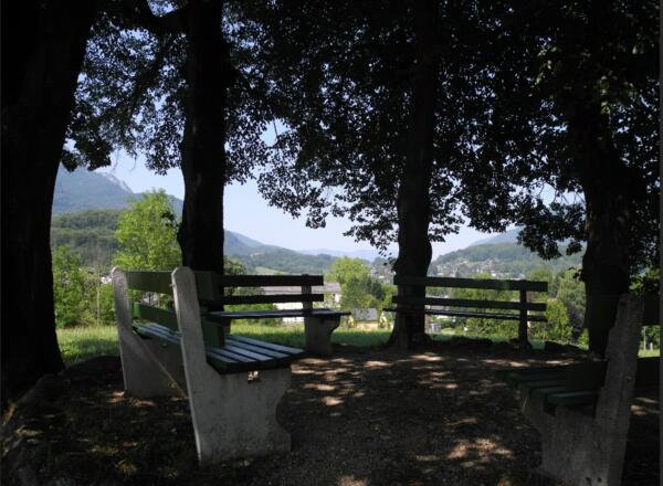 Bänke bei der Baumgruppe laden zum Rasten ein. Gerhard König