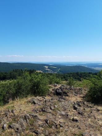 Kalte Buche mit Aussicht, Rhön-Rundweg 2 Oberelsbach_4