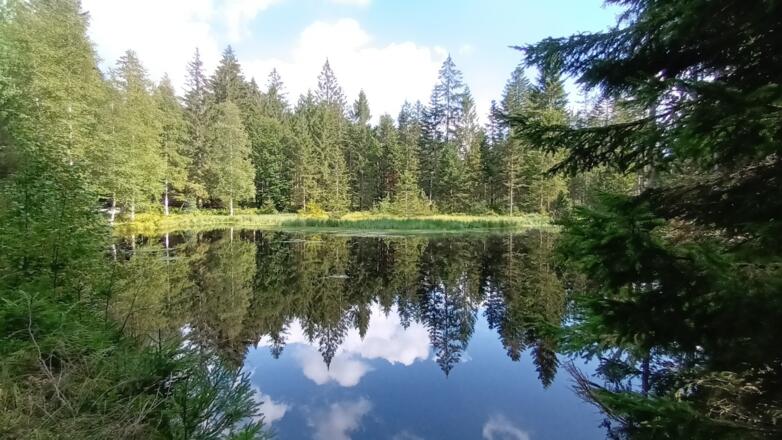 Grimmeisenweiher