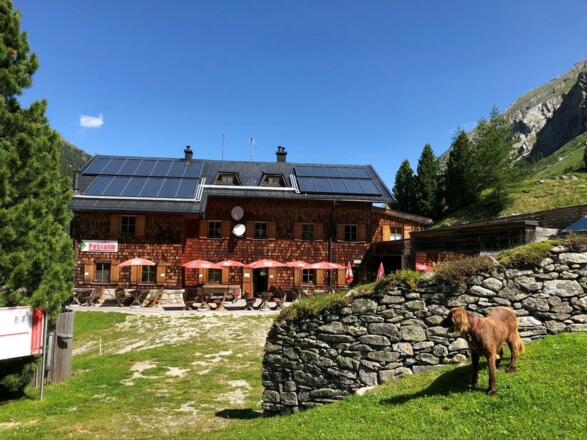 Postalm im Neukirchner Obersulzbachtal