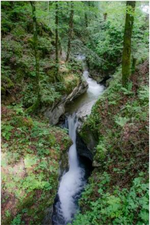 Sulzbach Klamm - Strub