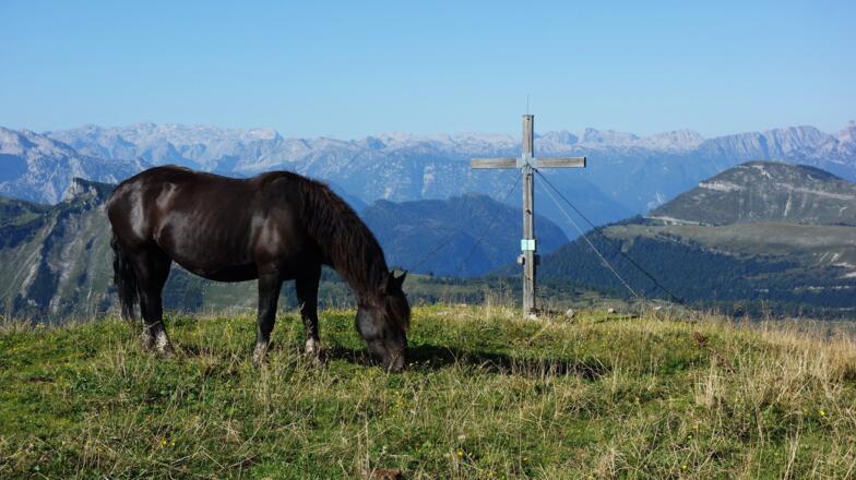 Wieder am Hohen Zinken 1764m