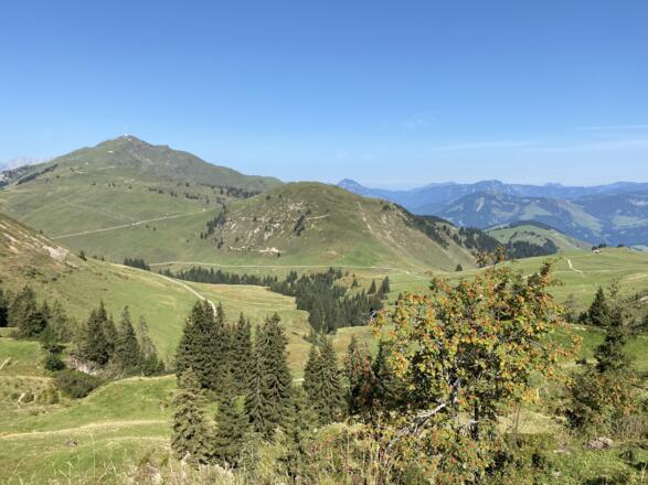 Rückblickend zum Ausgangspunkt auf das Kitzbüheler Horn