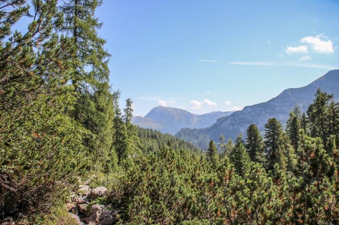 Sagerecksteig Nähe Kärlingerhaus