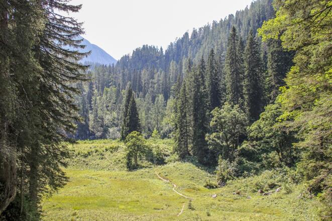 verfallene Sagereckeralm