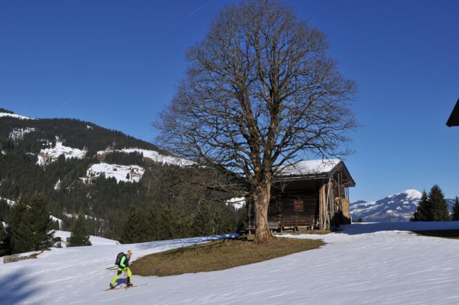 Lichtung beim Hof Wasserbühel