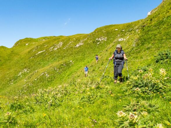 Auch beim Abstieg müsst ihr euch wieder den besten Weg über die Wiesenflächen suchen.