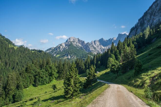 Forststraße zur Kammerlingalm im Naturpark Weißbach