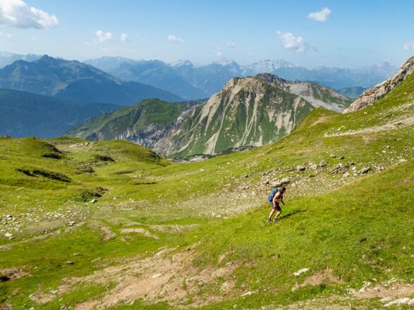 Über die Wiesenhänge geht es hinauf zum Pöngertlekopf. Am besten sucht ihr euch den Weg über den etwas flacheren Rücken raus.