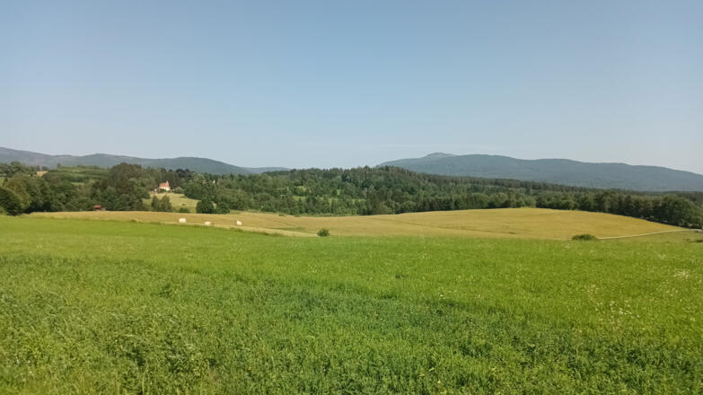 Blick nach Unterzwieselau und Rachel