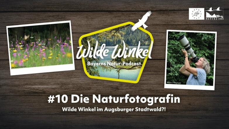 Wilde Winkel im Augsburger Stadtwald?! Die Naturfotografin (10. Folge)