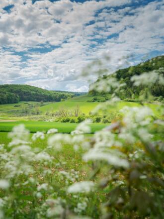 Nach der Steinernen Rinne führt die Tour durch das Rohrachtal.