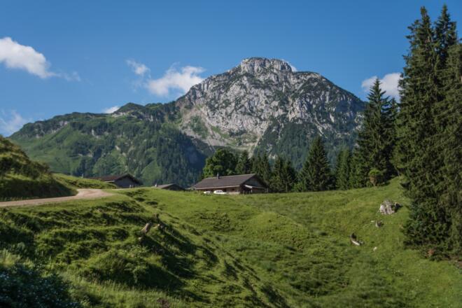 kurz vor der Kammerlingalm im Naturpark Weißbach