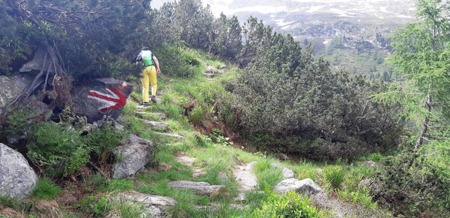 diesem deutlichen Pfeil folgen (linker Weg)