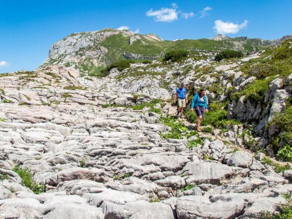 Wirklich faszinierend, diese Karstfläche des Steinernen Meers.