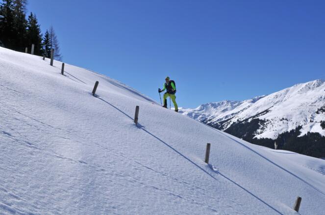 Oberhalb der Scheibenschlag Niederalm