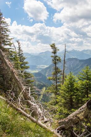 die Gipfel der Tiroler Alpen