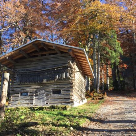 Start zur Riezler Alp