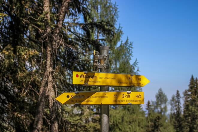 Weggabelung Sagereckersteig