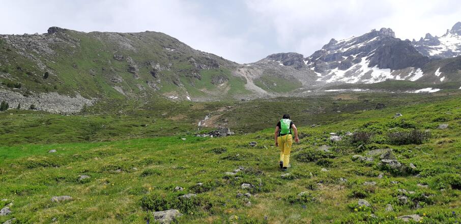 durch den Almboden aufwärts