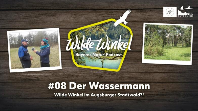 Wilde Winkel im Augsburger Stadtwald?! Der Wassermann (8. Folge)