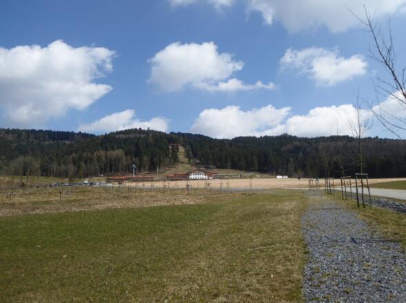 Erlebnis EDELWIES bei Neukirchen