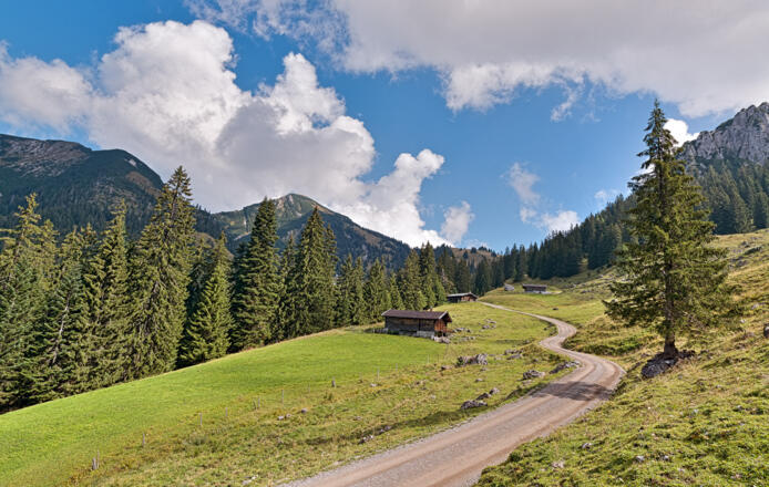 Gschwendtneralm - am Rückweg von der Hochalm