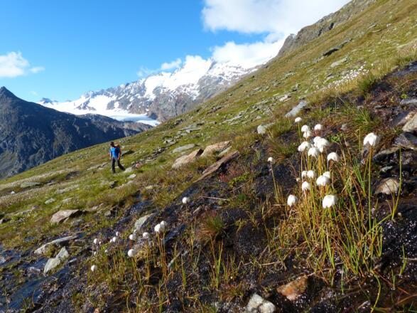 Abstieg vom Ramolhaus nach Obergurgl