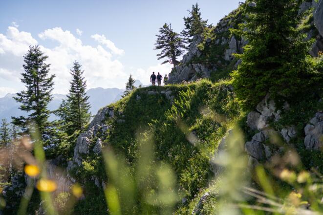 Auf dem Weg zum Jenner Gipfel