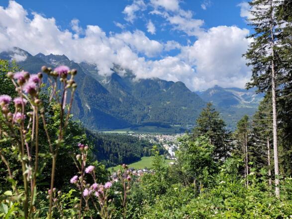 Wanderung_Rungelin_-_Hellwaldhütte_(c)_Dajana_Baum