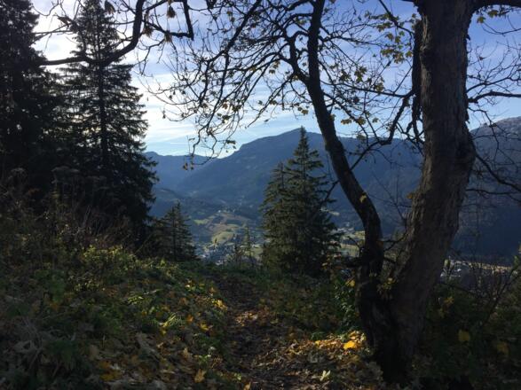 Kurz vor Riezler Alp