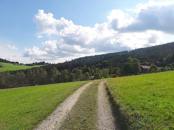Blick bei Lindenau nach Kalteck