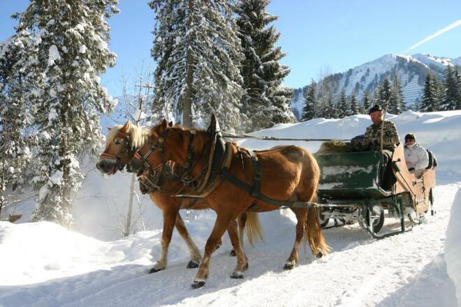 Kutschenfahrt im Winter