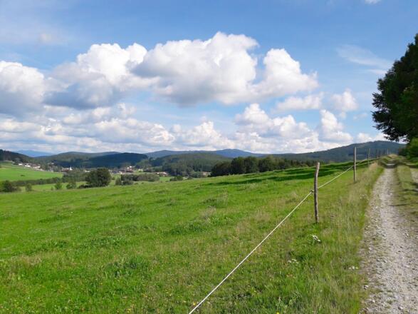Ausblick im Achslacher Tal zum Rachel