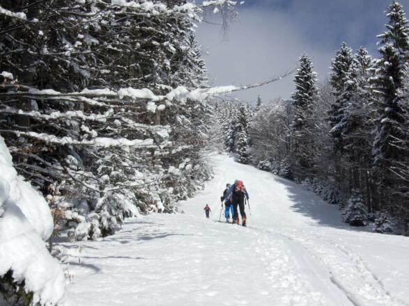 Die stillgelegte Skipiste am Sonnwendjoch ist ideales Einsteigergelände ...