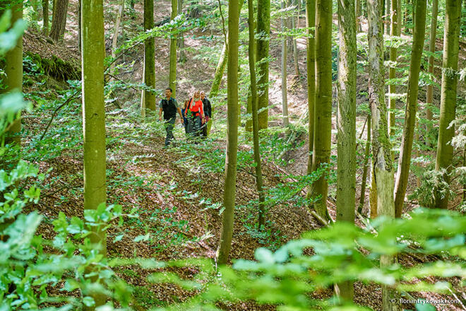 Schlangenweg