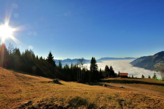 Aussicht bei der Heuarbeit
