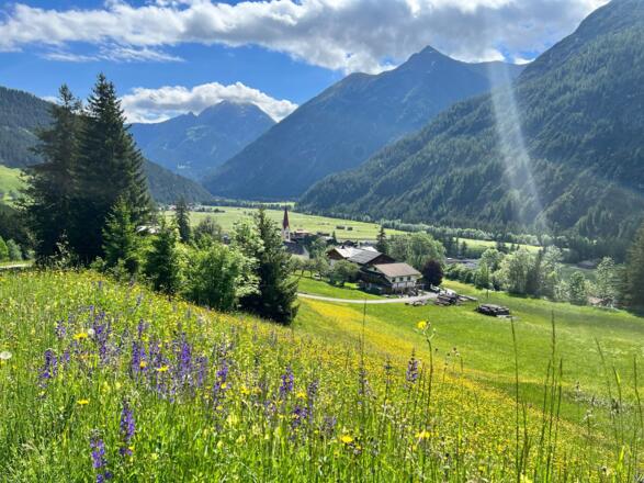 Holzgau
