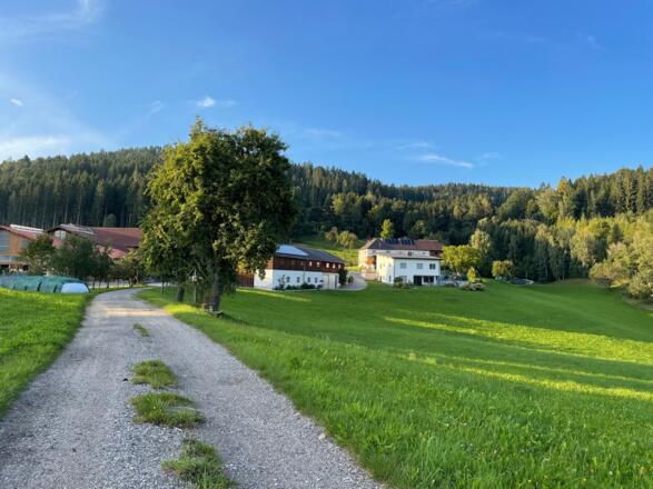 Kurz vor dem Pflasterweg
