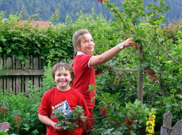Schottenhof Ohhhh, wie schmecken diese Beeren gut