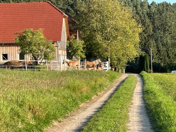 Bauernhof in Walchshof
