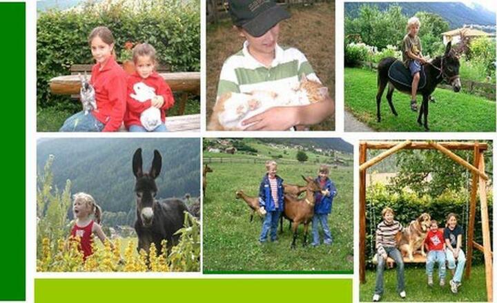 Schottenhof Kinder mit Tiere