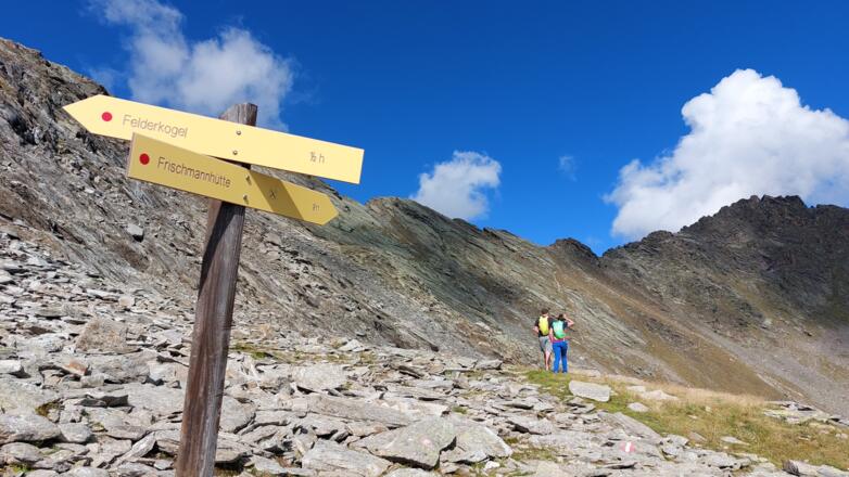 Über die kleine Scharte halb rechts im Bild erfolgt der Übergang ins Fernerkar. Links führt der Steig zum Ostgipfel des Felderkogels (2810 m).).